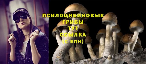 герыч Покачи