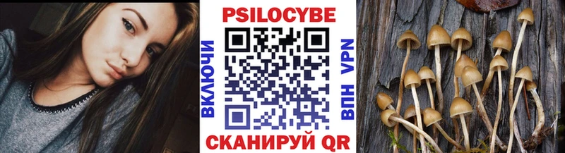Псилоцибиновые грибы мицелий  наркота  Верхняя Салда 