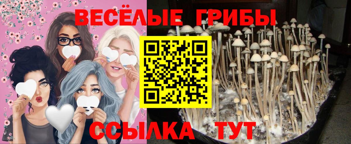 Галлюциногенные грибы мицелий  Вход с VPN  Верхняя Салда 