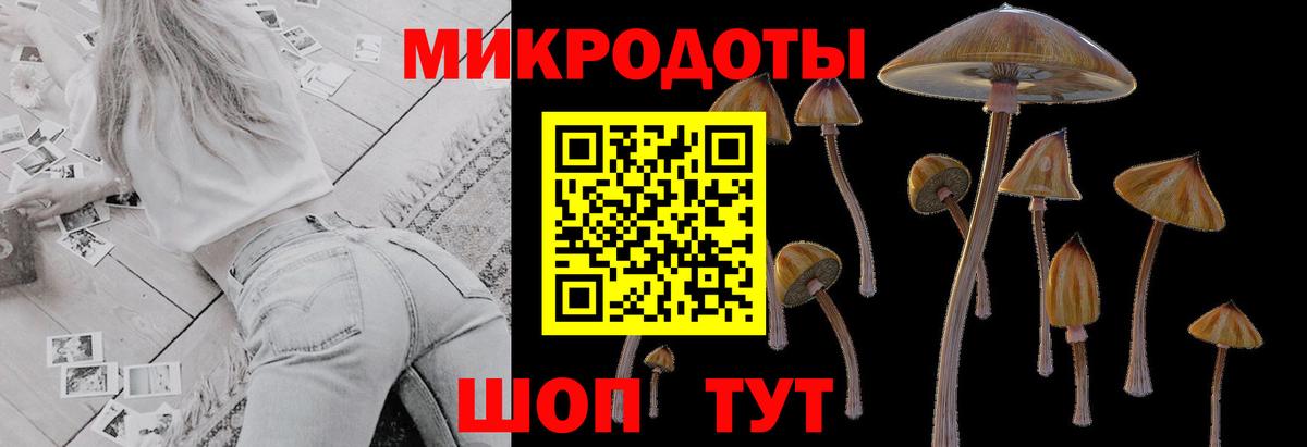 Галлюциногенные грибы мухоморы  Верхняя Салда 